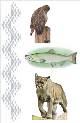Collage of images from: Hawk by Paul Danese, Salmon (public domain) Puma by kahazet