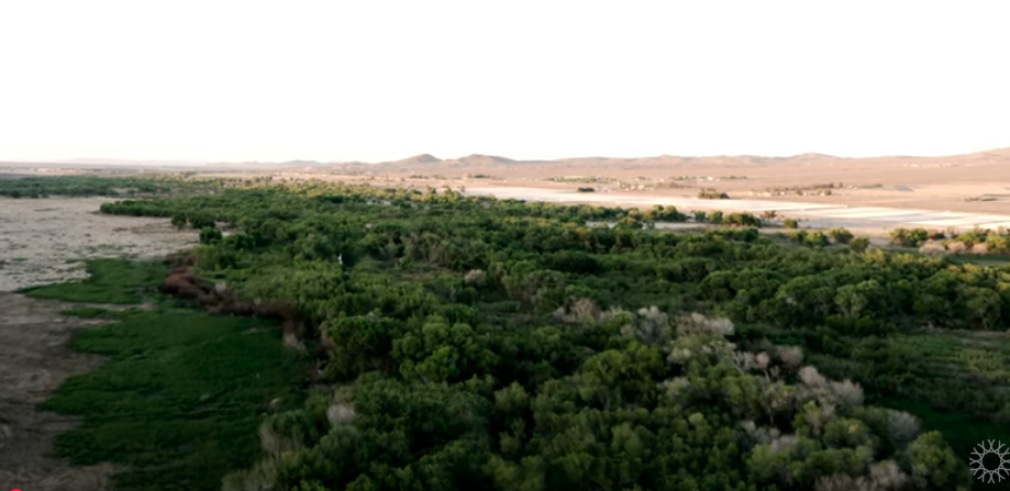 Desert Ecosystem green CA Academy Sciences video