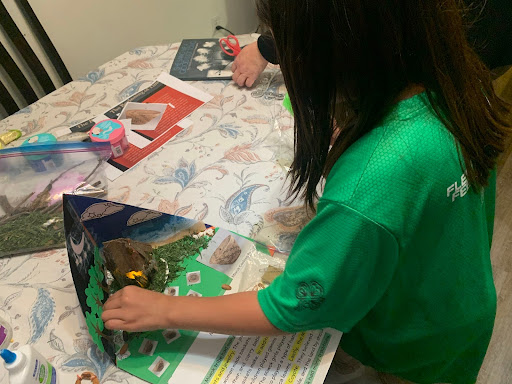 Ella Williams Designing her 3D Diorama of a Traditional Miwok Home.