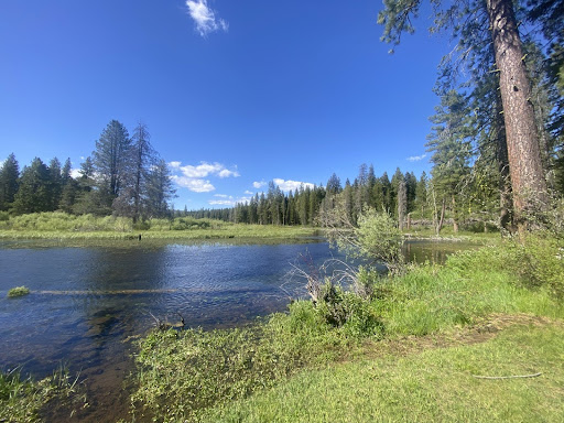 Greenville, CA (Mountain Maidu land)  © Lowry