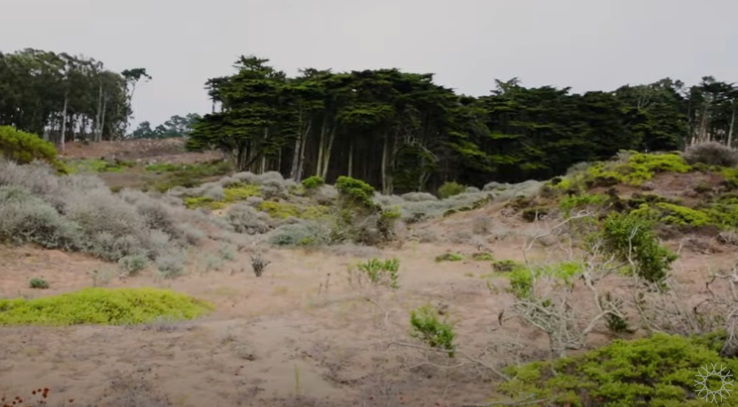 Image of hillside landscape of Presidio