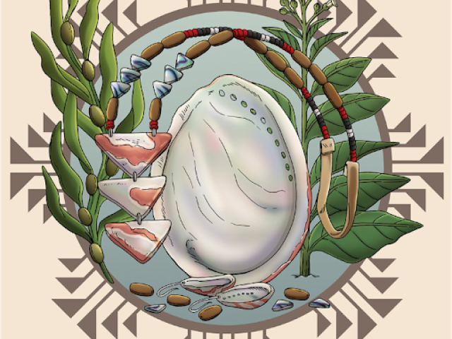 Abalone Indigenous Beauty