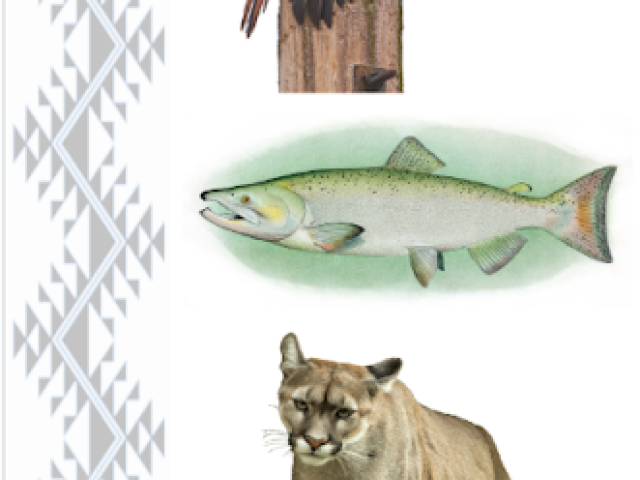 Appreciation of Animals