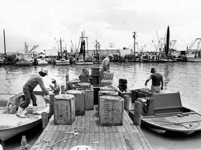 Refugees from Vietnam arriving at Camp Pendleton by plane.