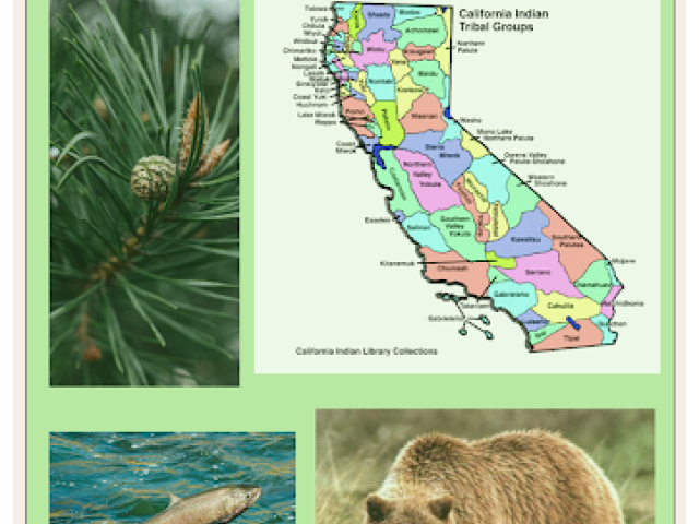 Cultural Connections with Grizzlies