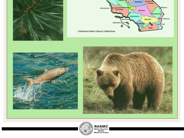 Cultural Connections with Grizzlies