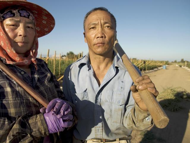 Hmong farmer Ka Nou Vue and his wife Chong Xiong photographed at their west side farm in Fresno, CA. Photo by Tudor Stanley (2008) for Yang Design.