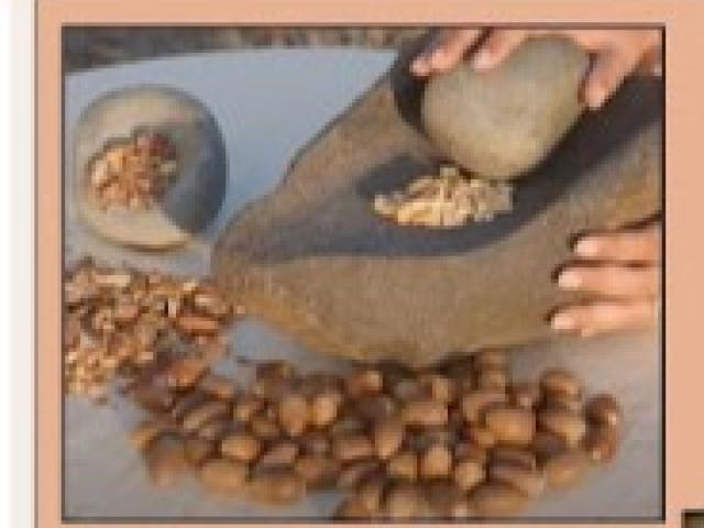 Native Foods Unit 1