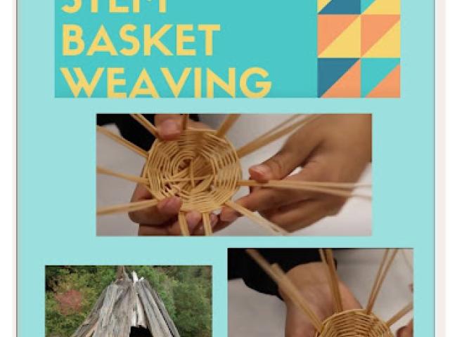 Native Maker STEM Unit