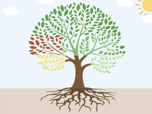 Family tree activity created by Thong Vang.