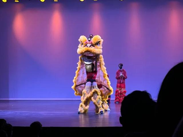 The Yellow Lion takes center stage on Stanford Vietnamese Student Association's Culture Night. The Múa Lân, or Lion Dance, charms and introduces the audience to the broader Vietnamese cultures. (CAMERON DURAN/The Stanford Daily)