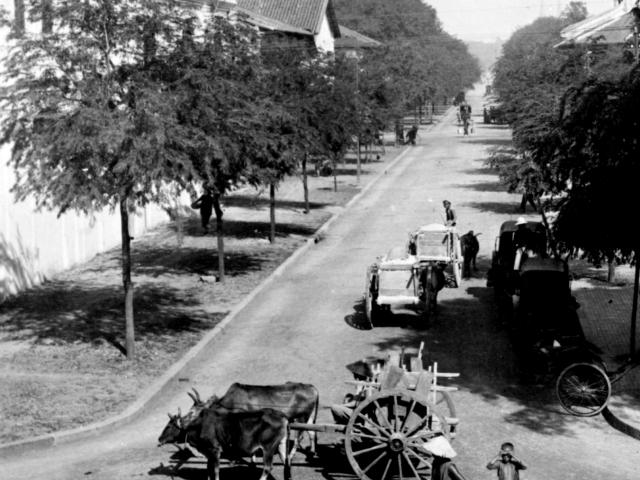 Street in Saigon, capital and commercial centre of French Cochin China