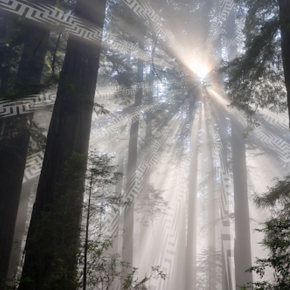 “Light Up the Darkness, Yurok Territory” © Louisa McCovey