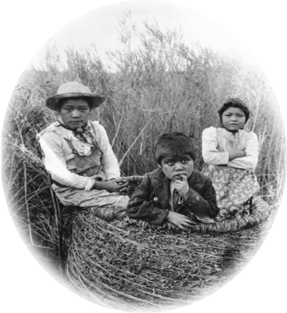 Photograph of three young Chemehuevi Indian children (2 boys, 1 girl) sitting in a large mesquite granary basket, ca.1900. USC Libraries (Legacy Identifier: CHS-3482.tiff - Unique identifier: UC141079)