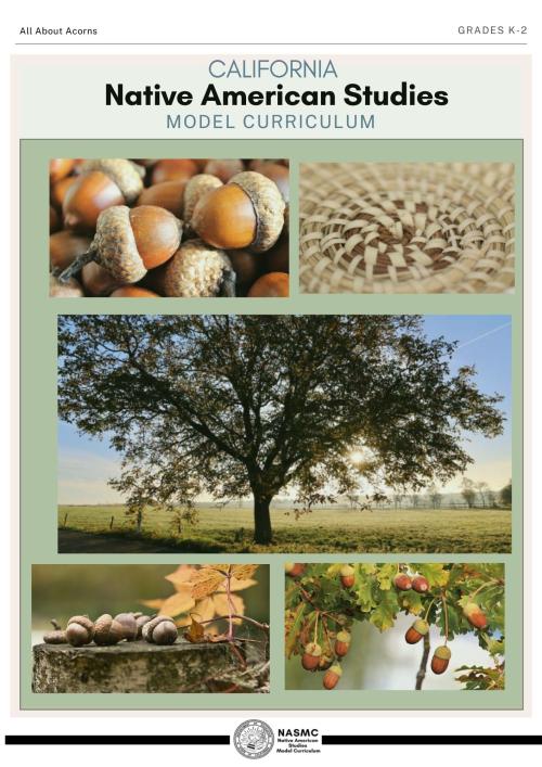 Acorns Unit Cover Art Gr K2