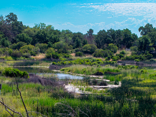 Cache Creek Preserve scenic Spring landscape