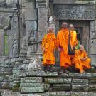 Adolescent Buddhist monks in Cambodia