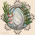 Abalone Indigenous Beauty