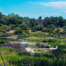 Cache Creek Preserve scenic Spring landscape