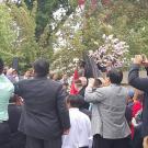 Gathering at City Council in Chico for community unveiling of General Vang Pao’s statue in 2015 taken by Ger Thao.