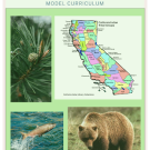 Cultural Connections with Grizzlies