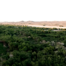 Desert Ecosystem CA Academy Sciences video
