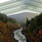 The Beauty of Fall, Martin's Ferry Bridge, Yurok Indian Reservation. © Louisa McCovey (Yurok, Hupa, Karuk)