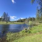 Greenville, CA (Mountain Maidu land)  © Lowry