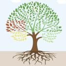 Family tree activity created by Thong Vang.