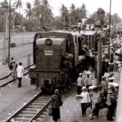 Train in Cambodia