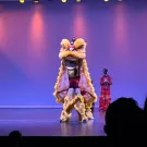 The Yellow Lion takes center stage on Stanford Vietnamese Student Association's Culture Night. The Múa Lân, or Lion Dance, charms and introduces the audience to the broader Vietnamese cultures. (CAMERON DURAN/The Stanford Daily)